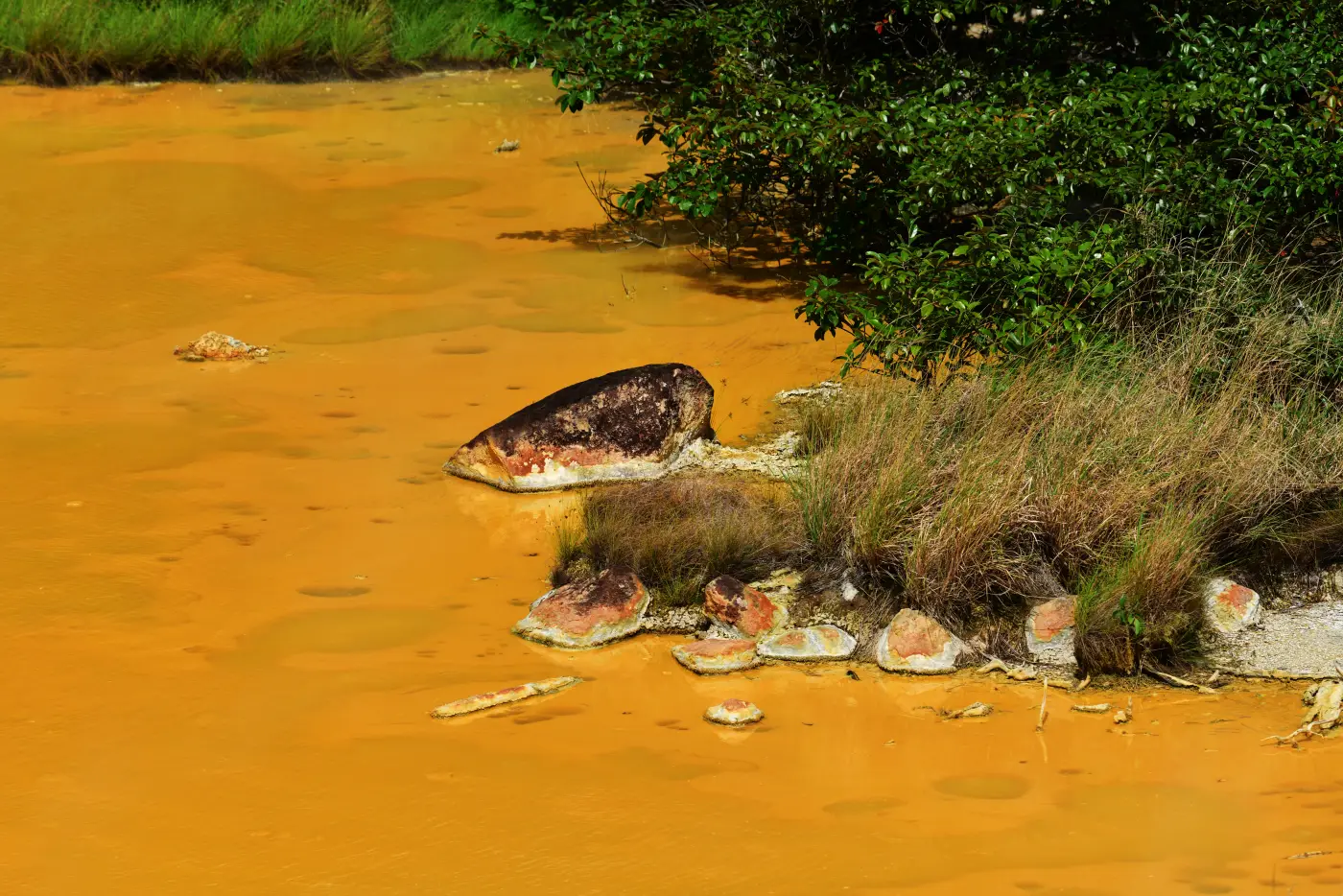 A bright orange, mineral-stained volcanic pool edged with grass and shrubs in Rincón de la Vieja National Park, Guanacaste