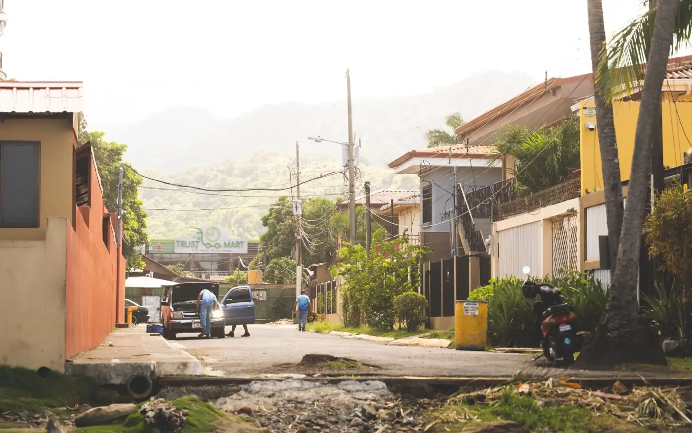 A quiet palm-lined road with a mountain in the distance, Guanacaste, Costa Rica