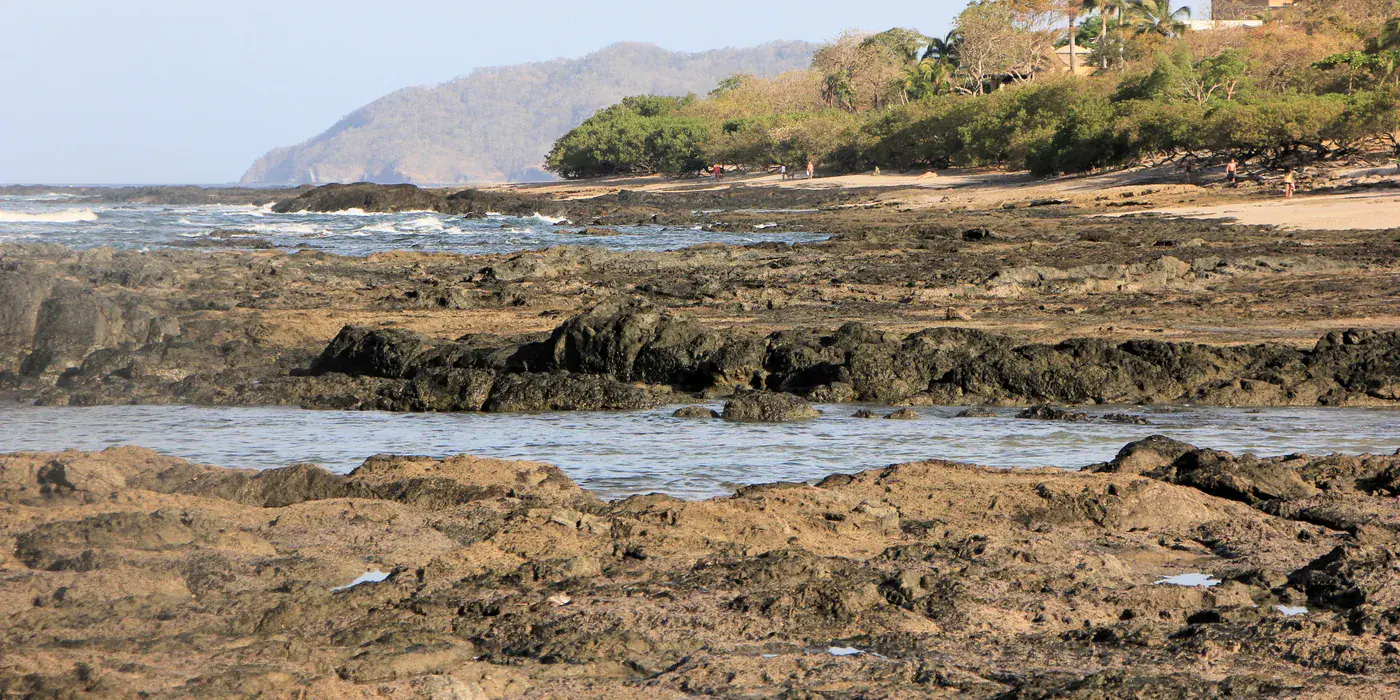 Playa Langosta near Tamarindo at low tide, a wide shelf of dark volcanic rock running out to surf breaking offshore, with a few distant figures on the sand and forested headland beyond