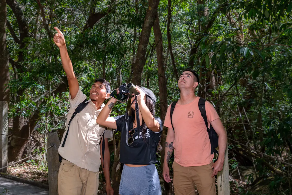 A naturalist guide points up into the forest canopy on a trail at Rincón de la Vieja while two visitors follow his line, one watching through binoculars