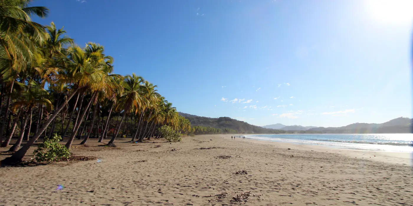 Playa Carrillo: a long curving bay with a deep fringe of leaning palms casting shade over the sand, calm water to the right and distant figures far down the beach