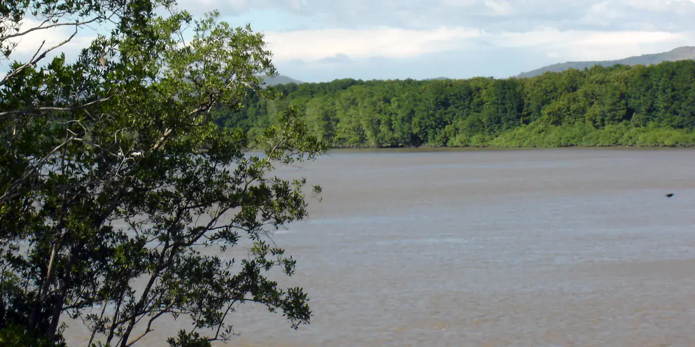The brown, tidal Tempisque river seen past mangrove branches, with dense green riparian forest along the far bank under a partly clouded sky