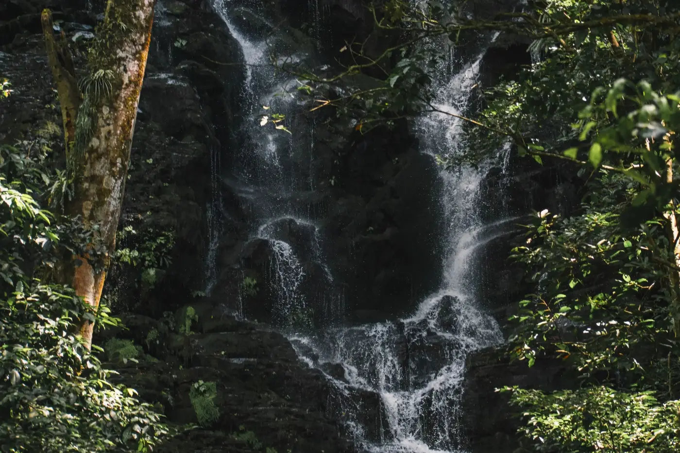 A waterfall dropping through dense green forest in Guanacaste, Costa Rica