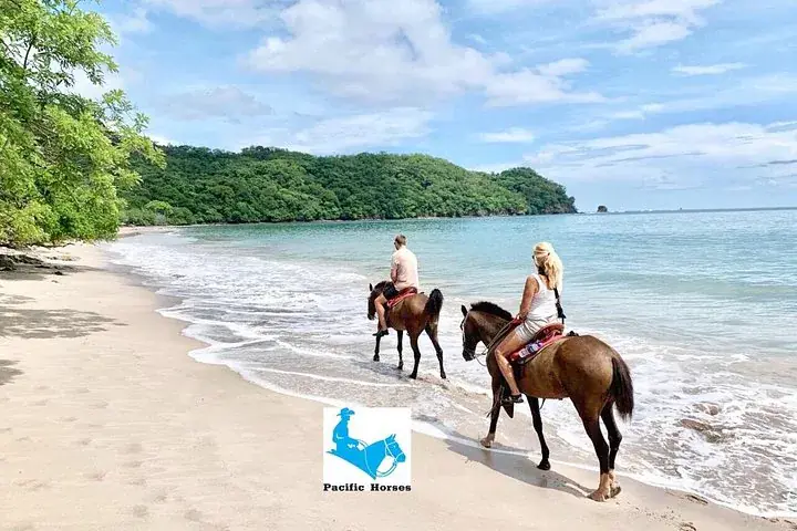 1,5 Hours Private Horseback Riding Tour in Playa Conchal
