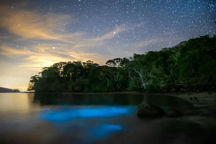 Bioluminescent Kayak Tour