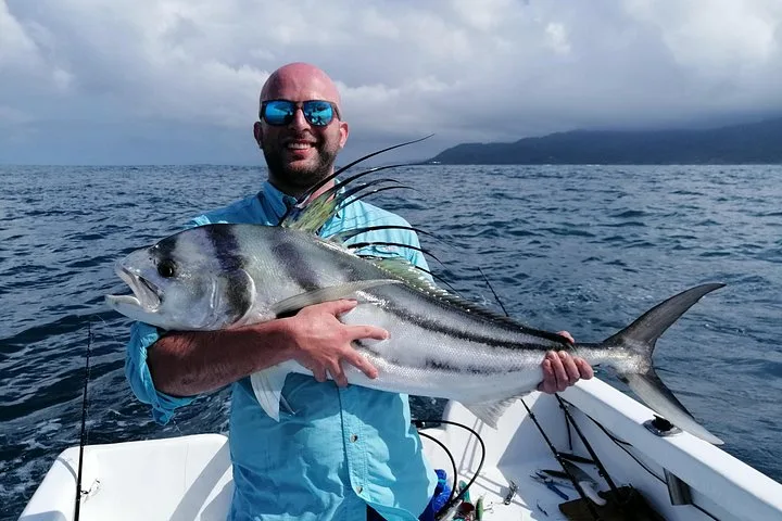 Roosterfish.
