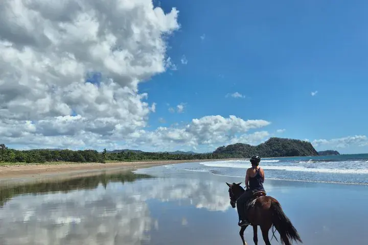 Jungle and Beach Horseback Riding Tour - 2H 1/2