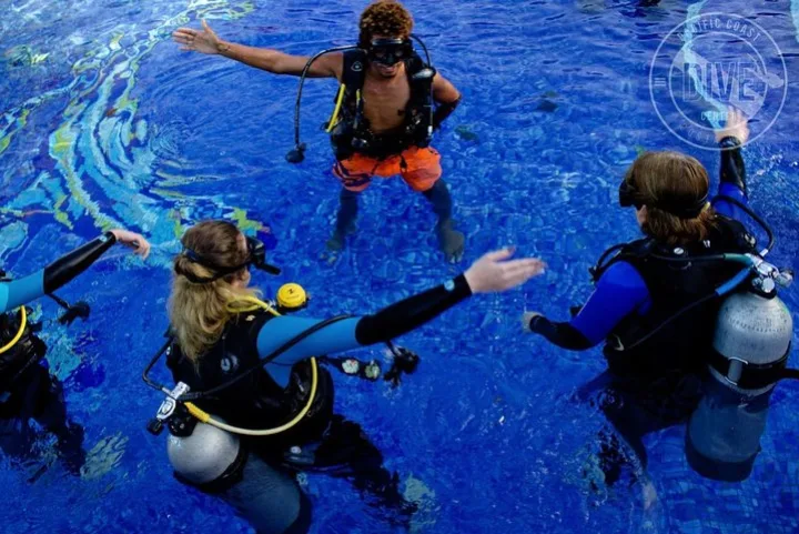 Scuba Diving at Catalina Islands — No Certification Needed