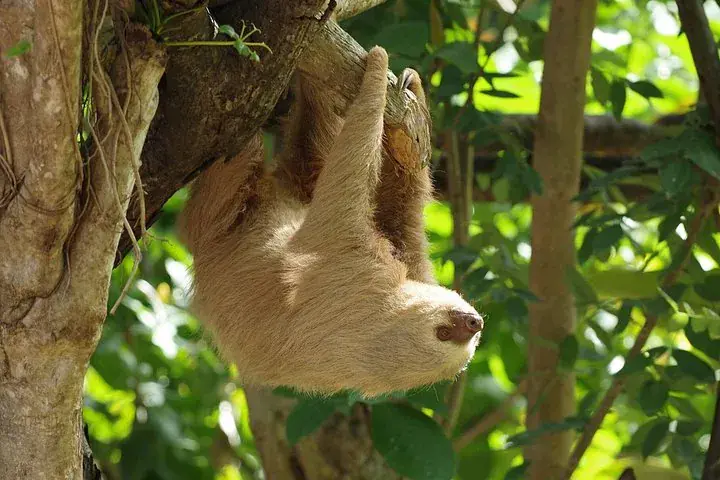 Diamante Eco Park Animal Sanctuary, Skip the Line
