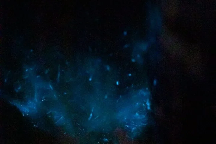 Sunset Bioluminescence Tour by Boat