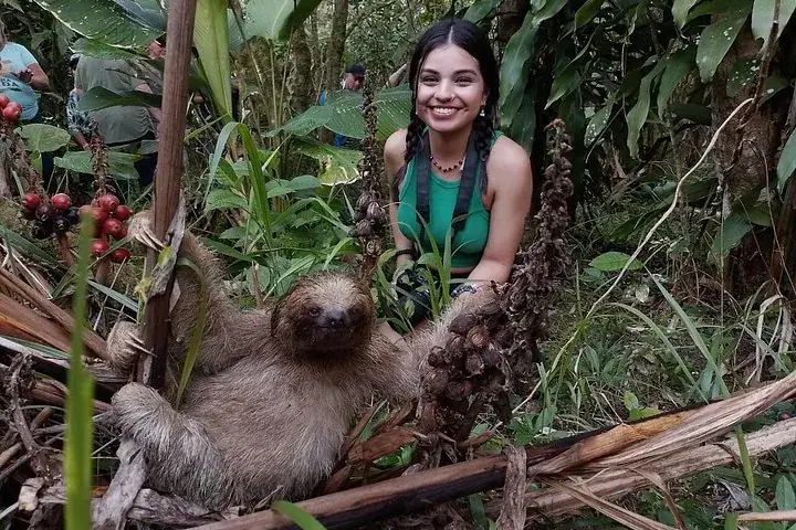 Rainforest Hanging Bridges & Sloth Sanctuary
