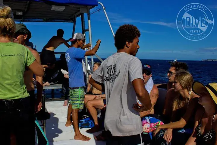 Two-Tank Scuba Diving at Catalina Islands