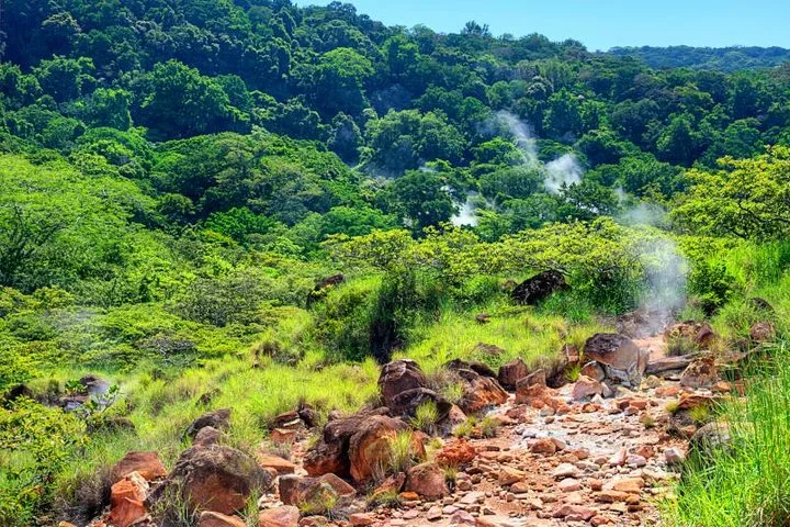 Rincón de la Vieja: Volcano Hike, Waterfall & Hot Springs